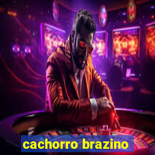 cachorro brazino