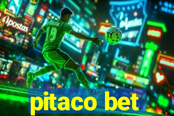 pitaco bet